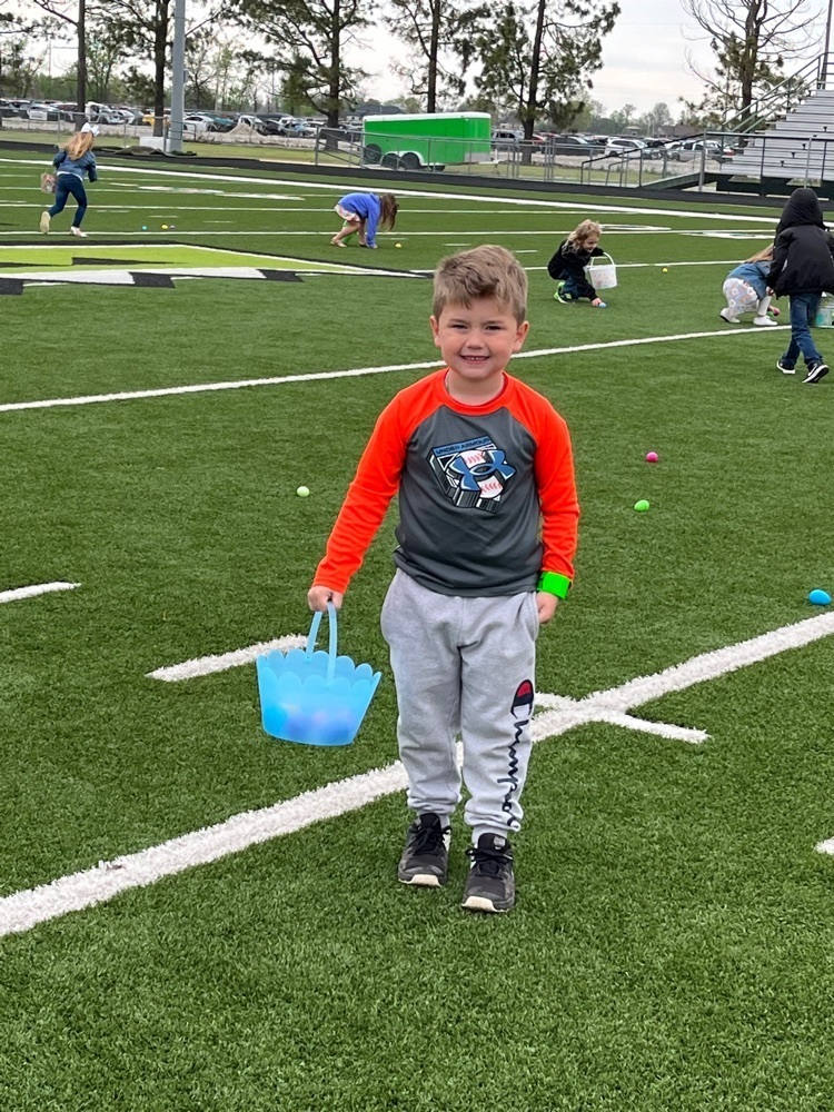 egg hunting 