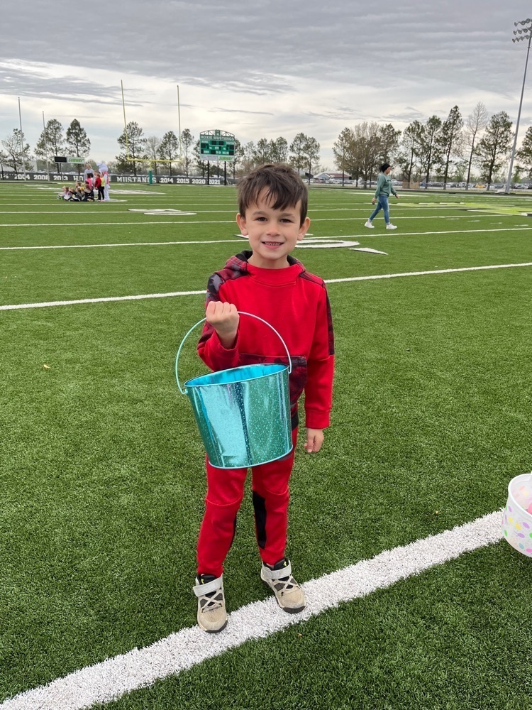 egg hunting 