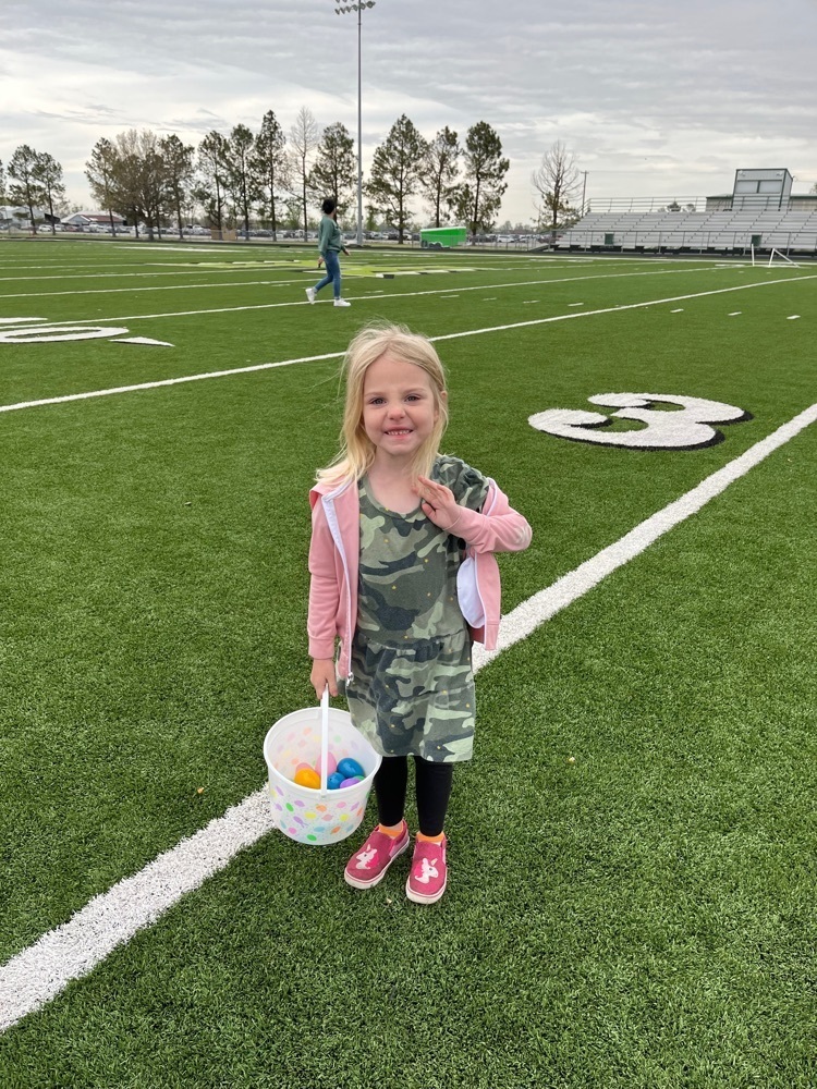egg hunting 