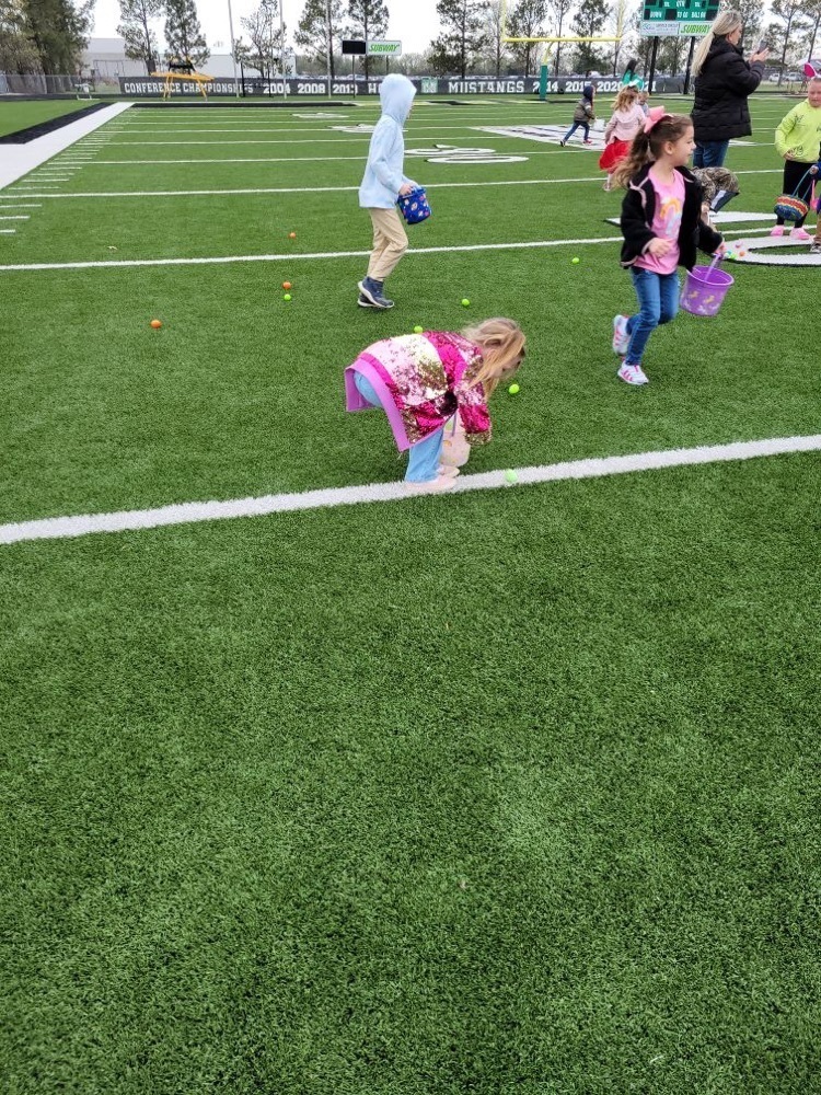 egg hunting 