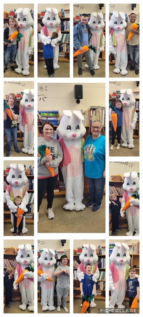 class with bunny