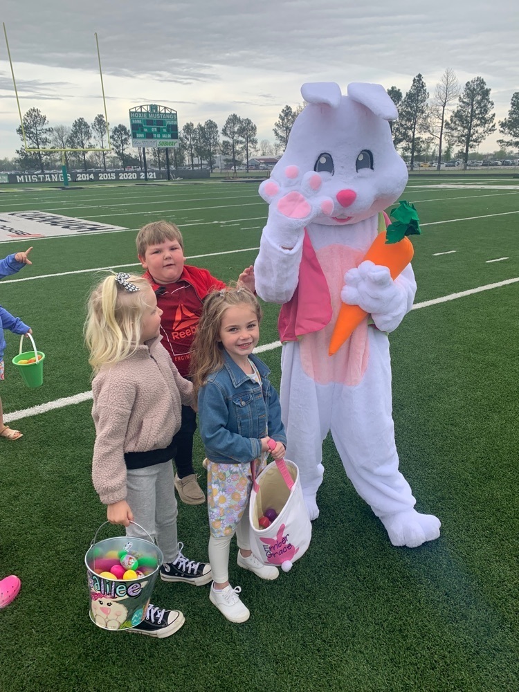 Easter bunny 