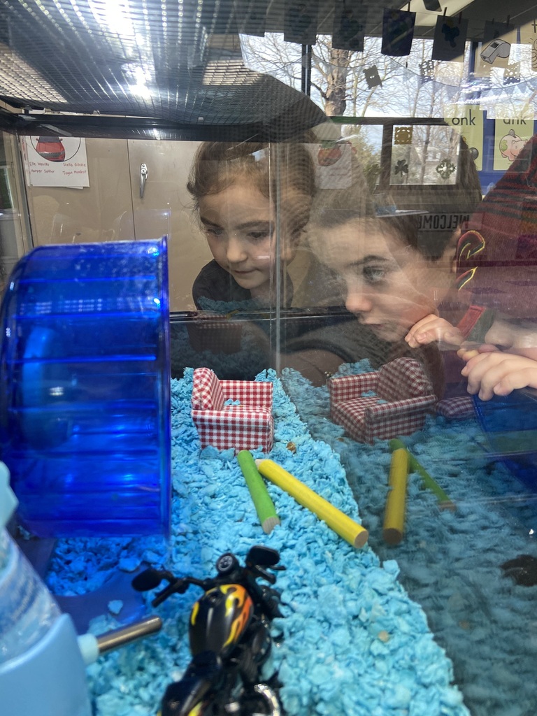 One School One Book celebration