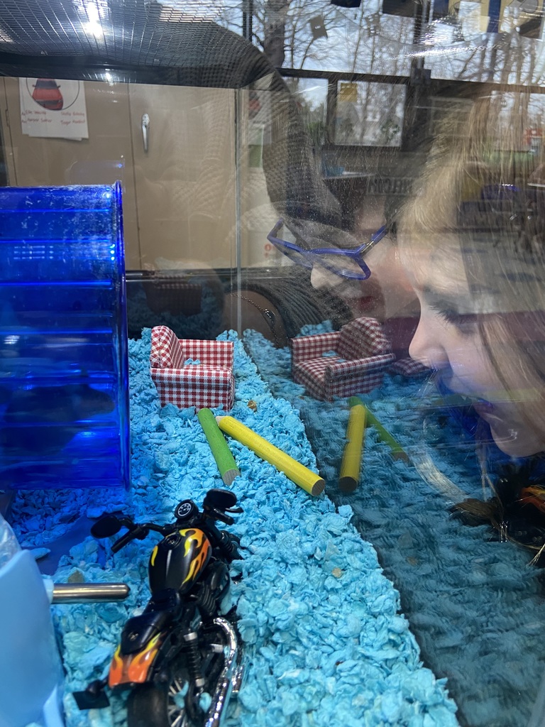 One School One Book celebration