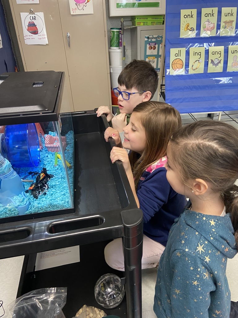 One School One Book Celebration