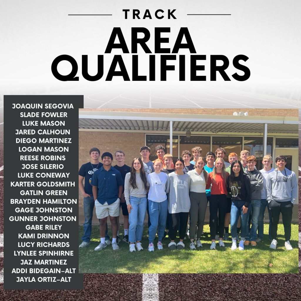 Area Qualifiers