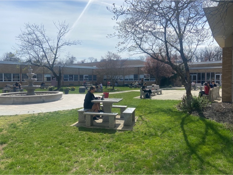 spring in the courtyard
