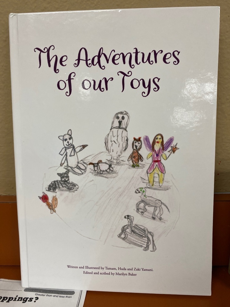 Adventures of our Toys