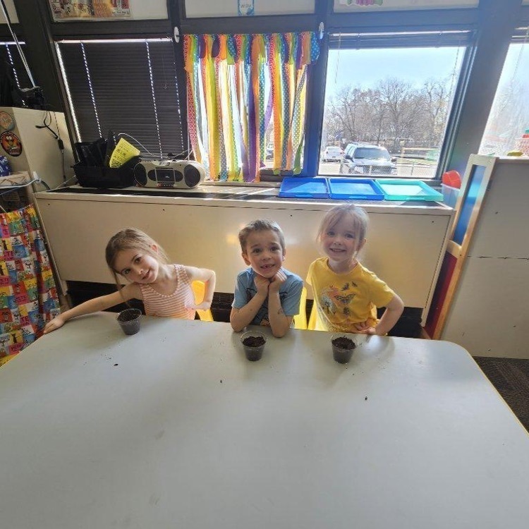 Webster preschoolers with Mr. Schmitz planted sunflower seeds after reading the book "Plant the Tiny Seed"!