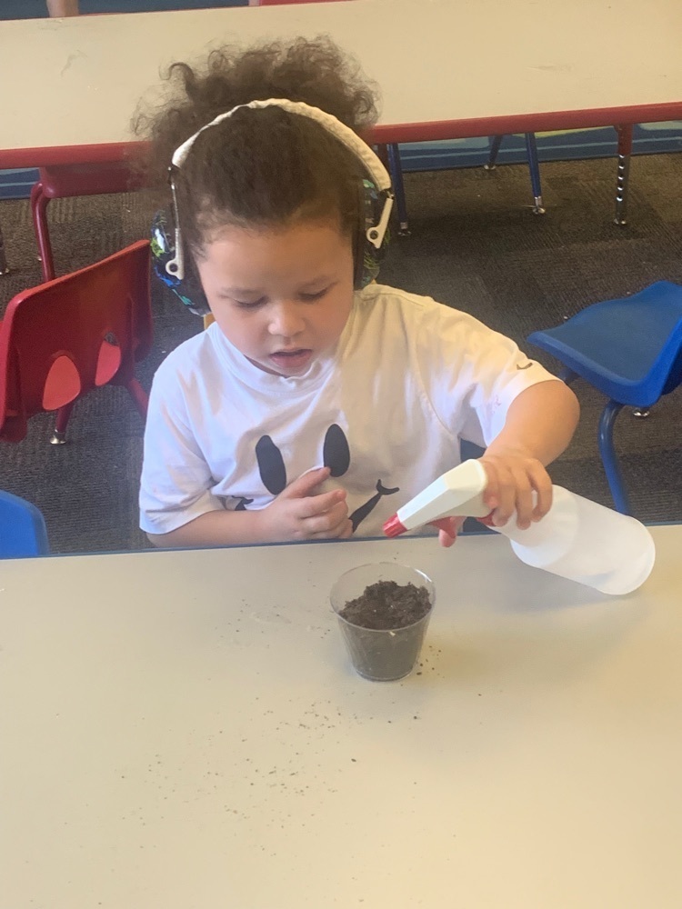 Webster preschoolers with Mr. Schmitz planted sunflower seeds after reading the book "Plant the Tiny Seed"!