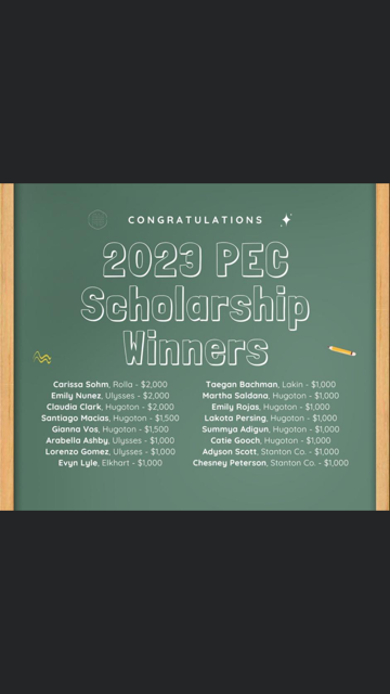Pioneer Electric Scholarship Winners