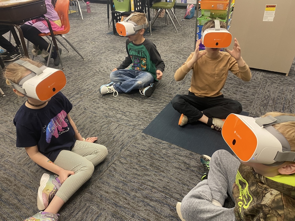 VR Goggles