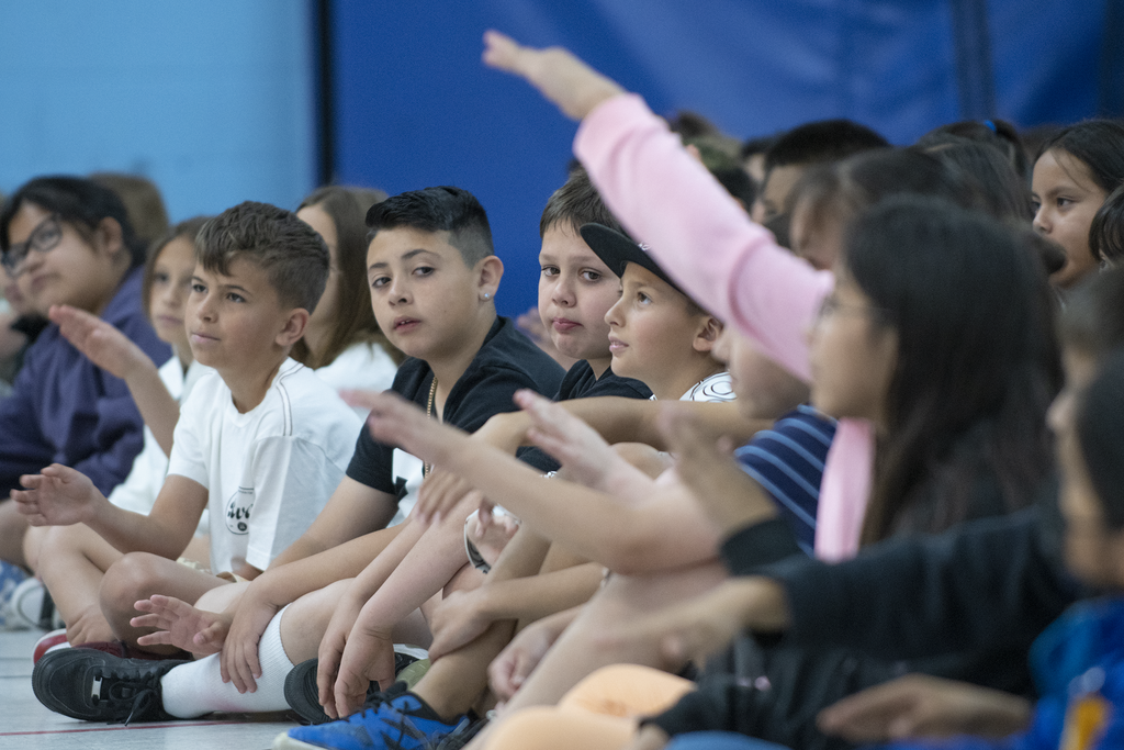 Young Audience Concerts