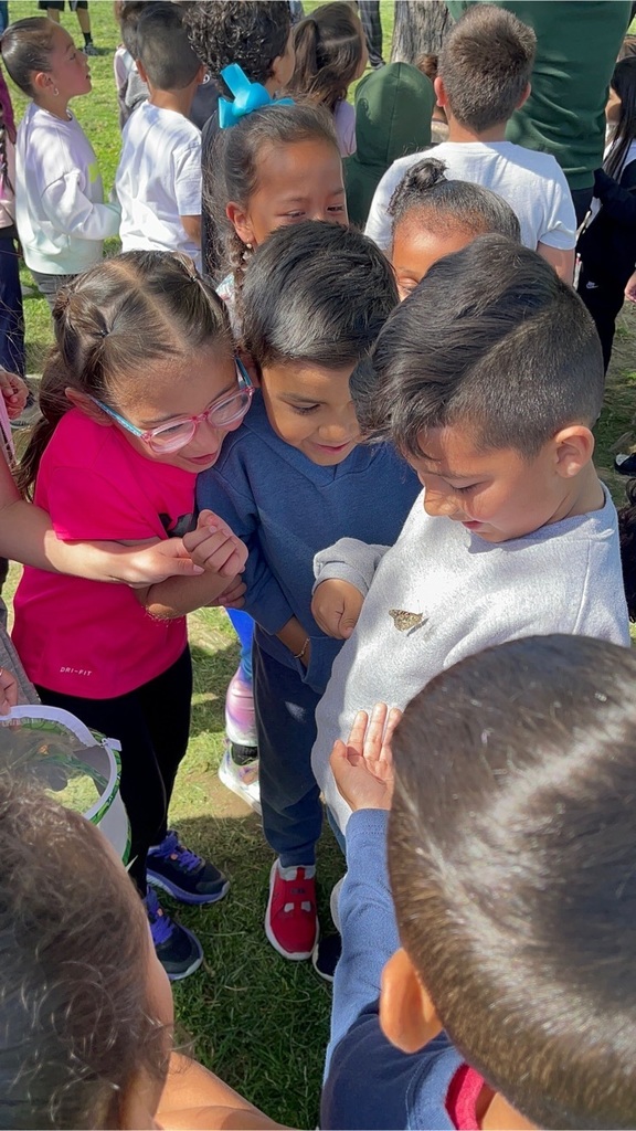 kindergarteners admire hatched butterfly