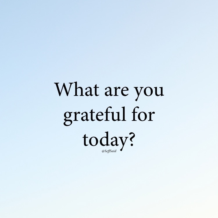 gratitude 