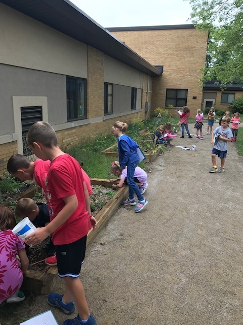 students using the courtyard for learning
