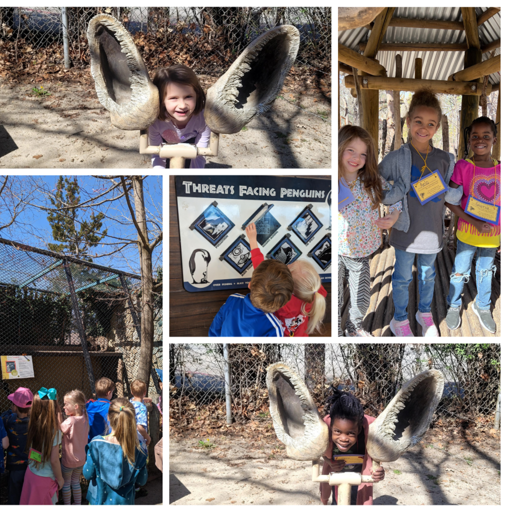 Kindergarteners at the zoo