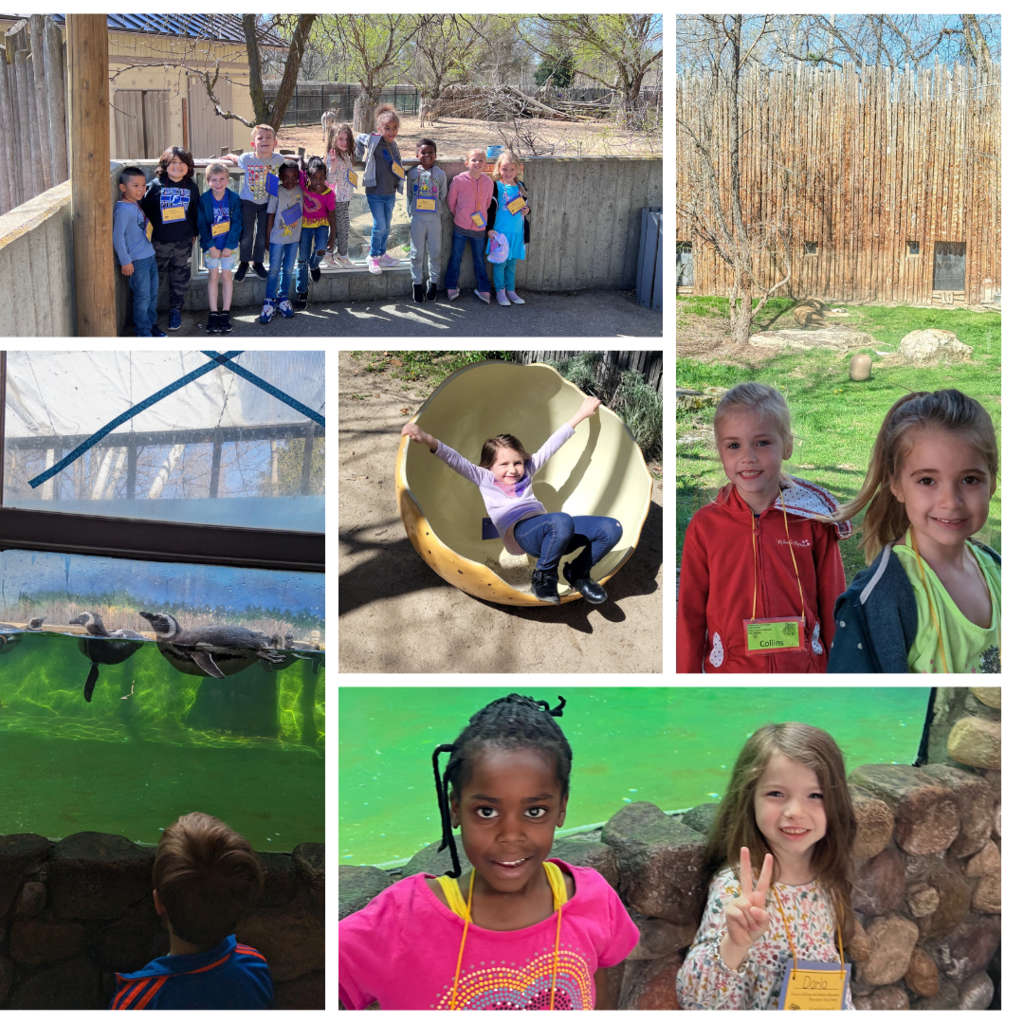 Kindergarteners at the zoo