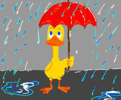 rain