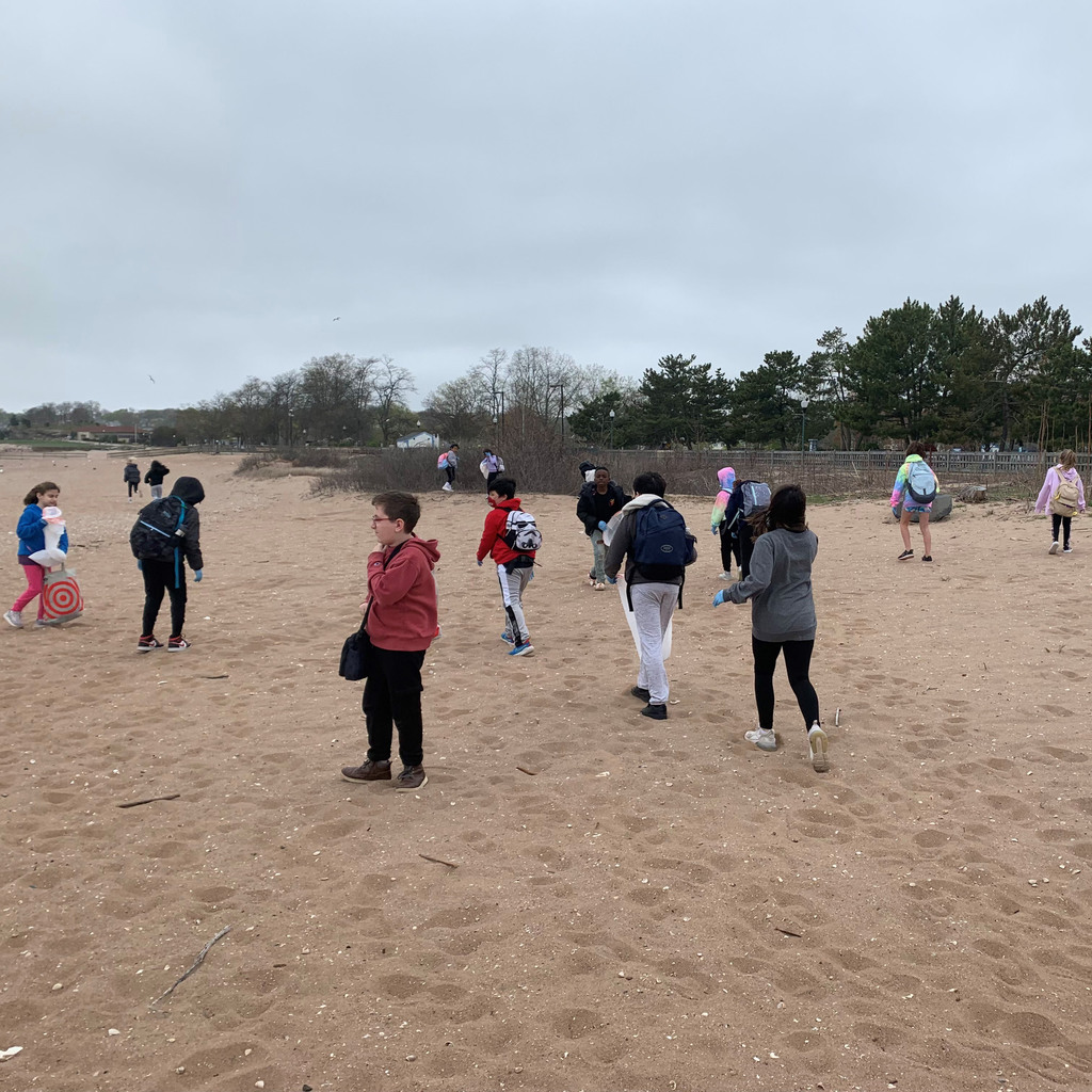 students cleaning up the beach