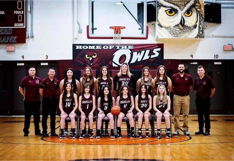 Lady Owls
