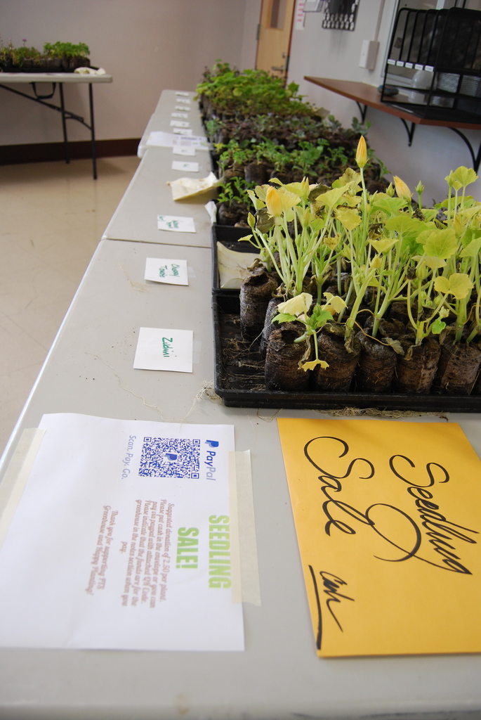 Seedling Sale 