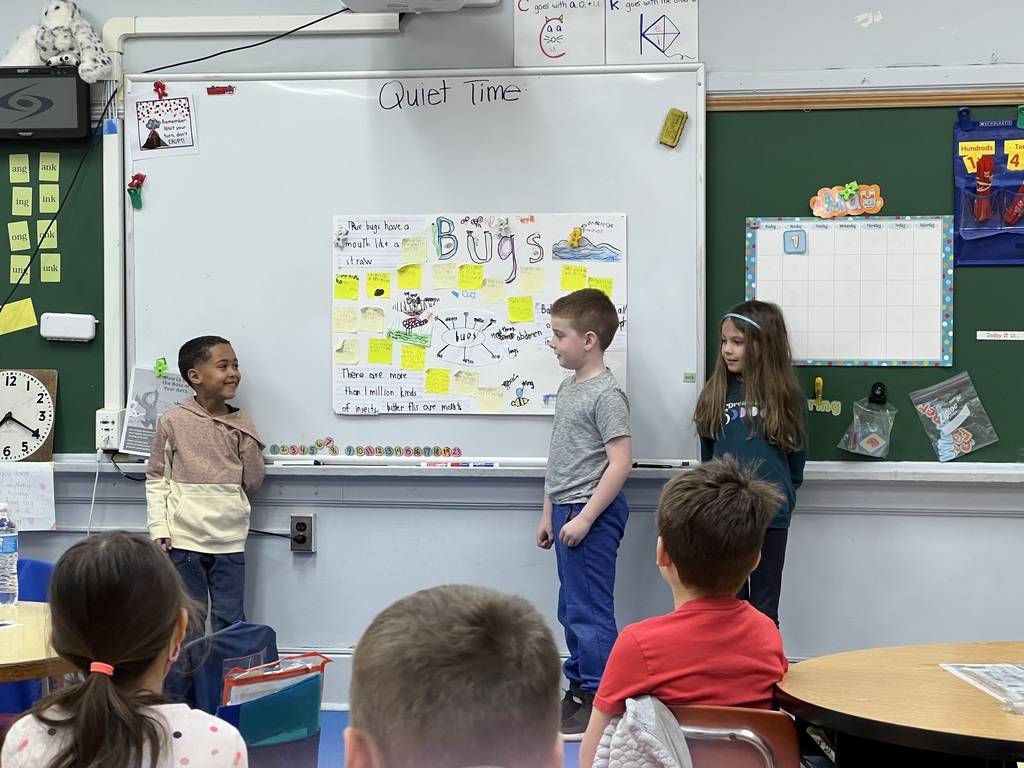Students in 1-c present non-fiction posters