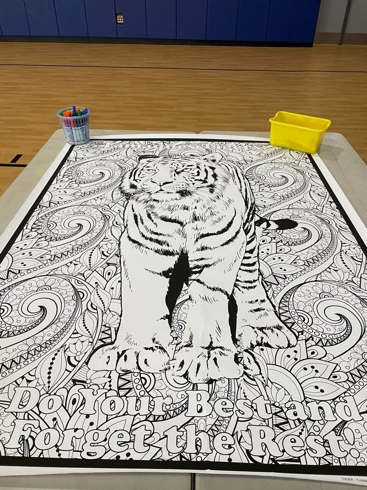 tiger coloring mat