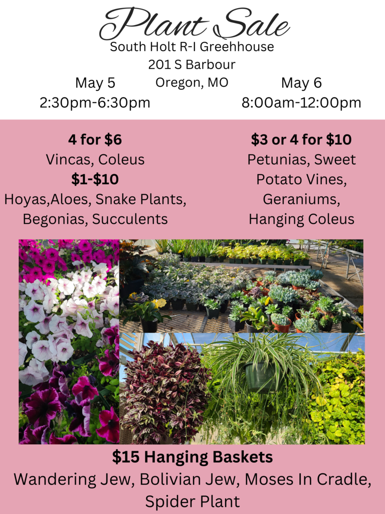 South Holt Plant Sale