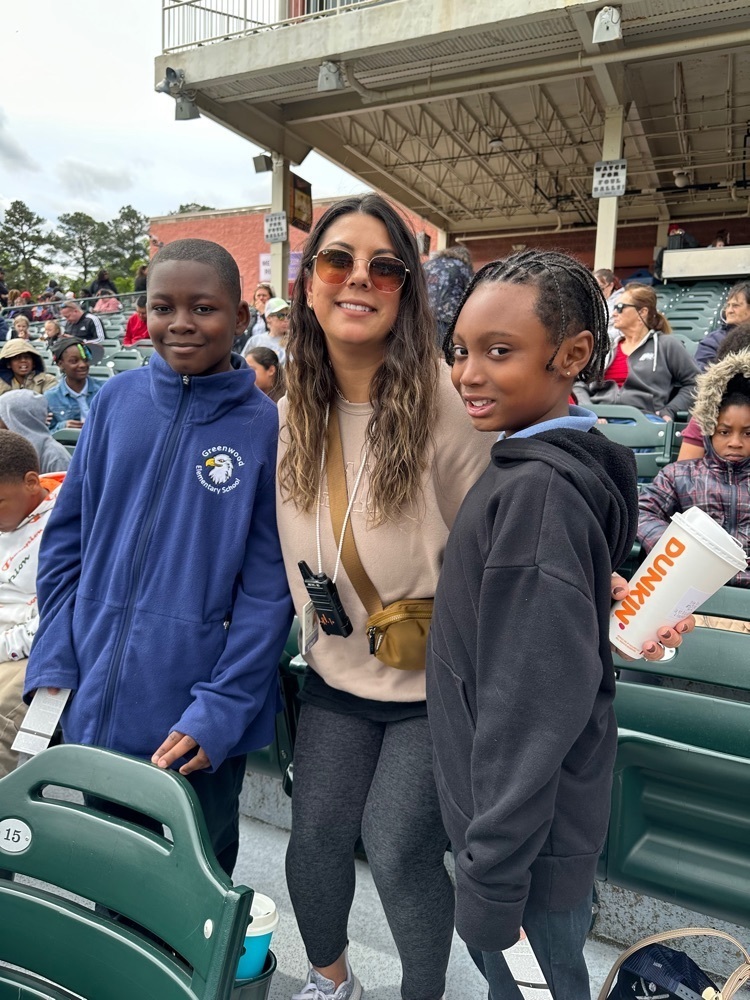 shorebirds game