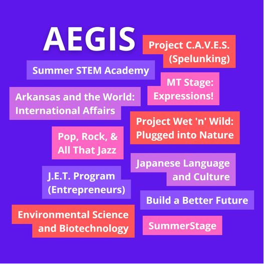DESE summer programs