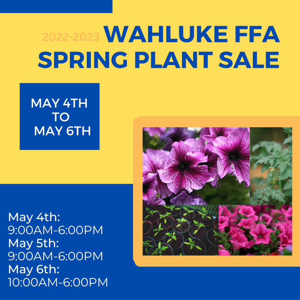 plant sale 