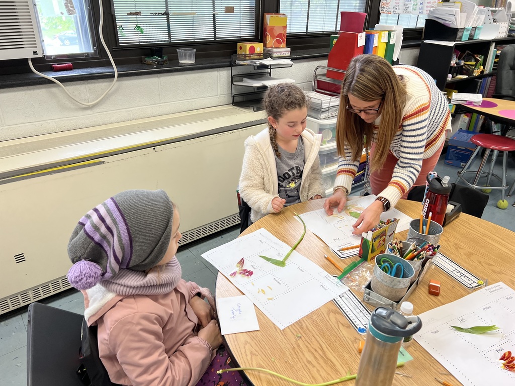 Second graders dissecting flowers in class