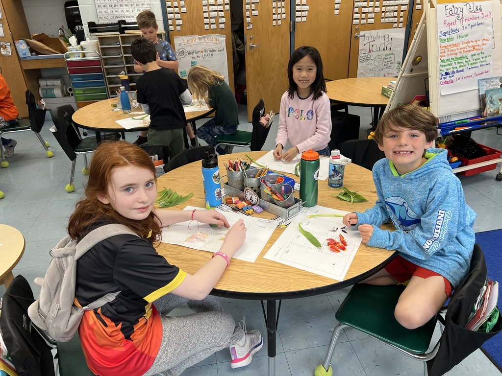 Second graders dissecting flowers in class