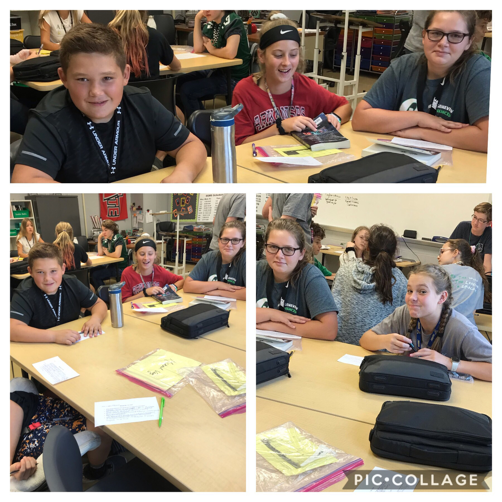 This is the book Michael Vey #sgsm family