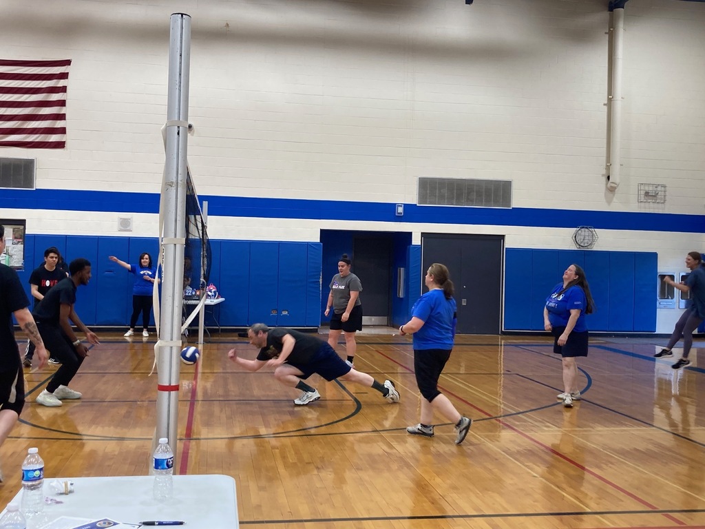 Volleyball Picture