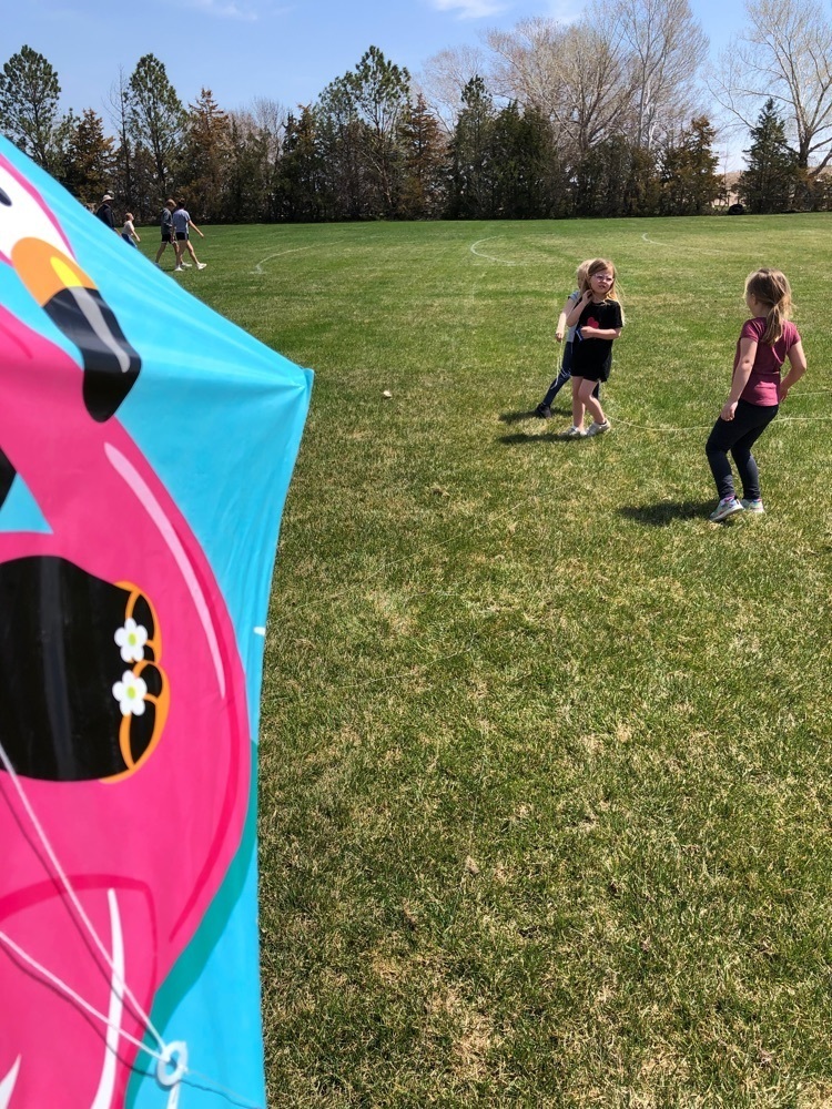 kites