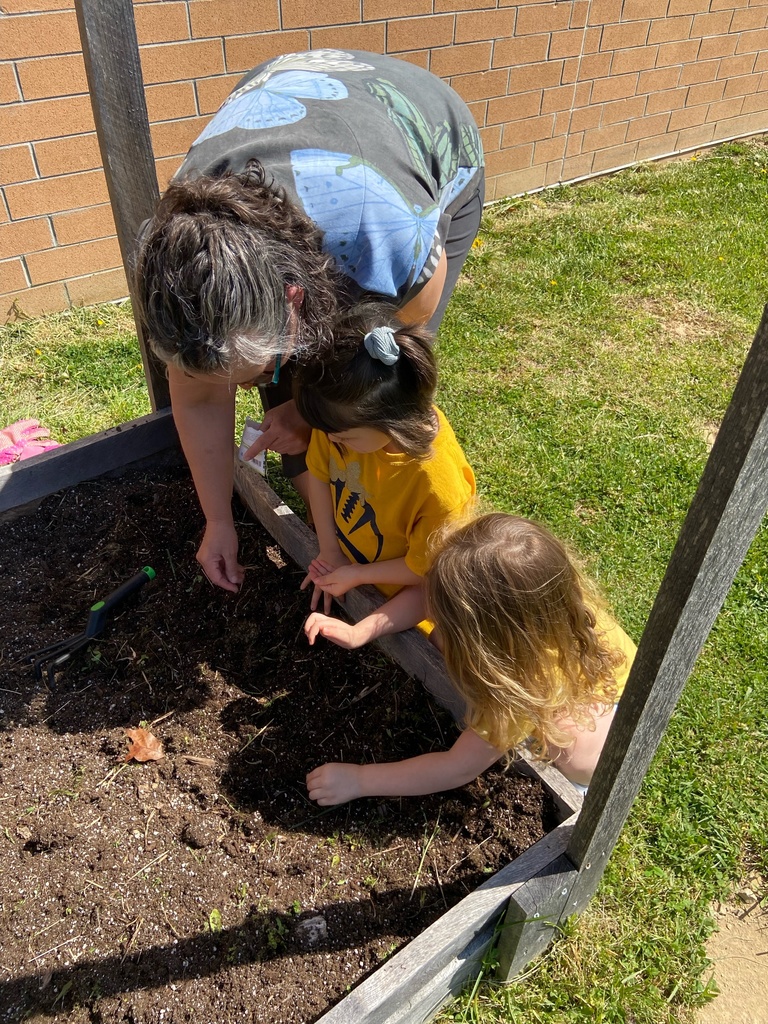 planting