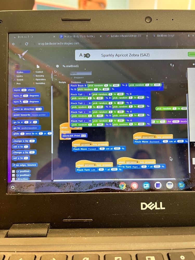 scratch programming