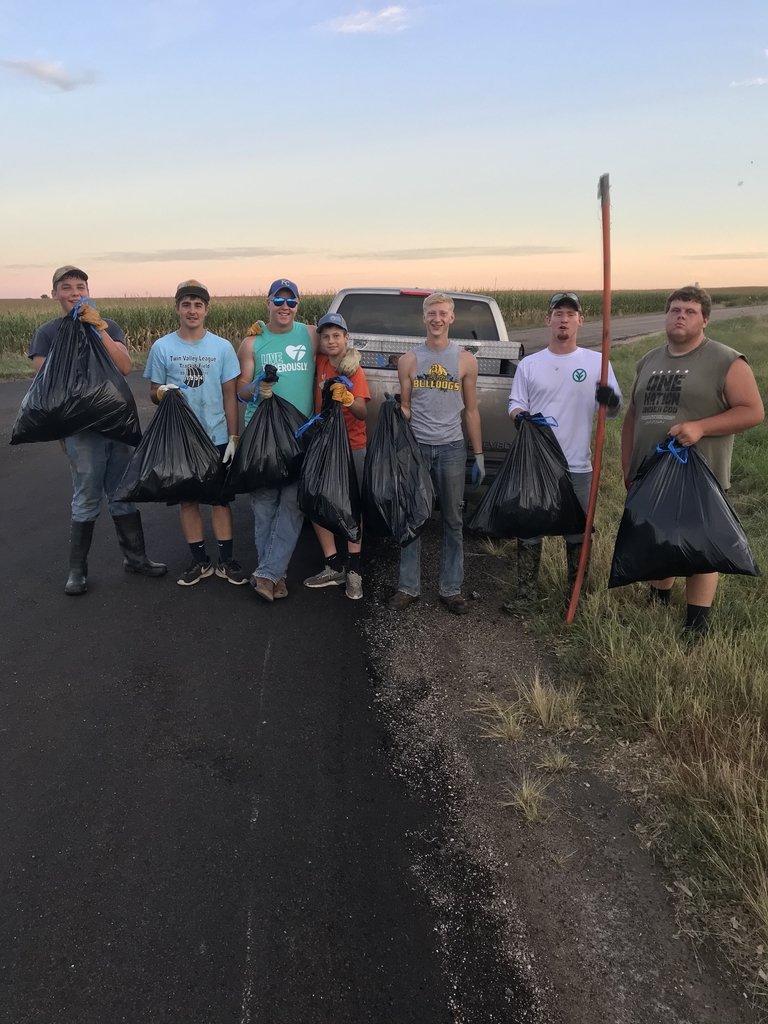 Roadside Cleanup 