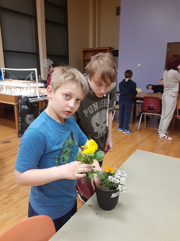 One student looks on as another student replants a flower