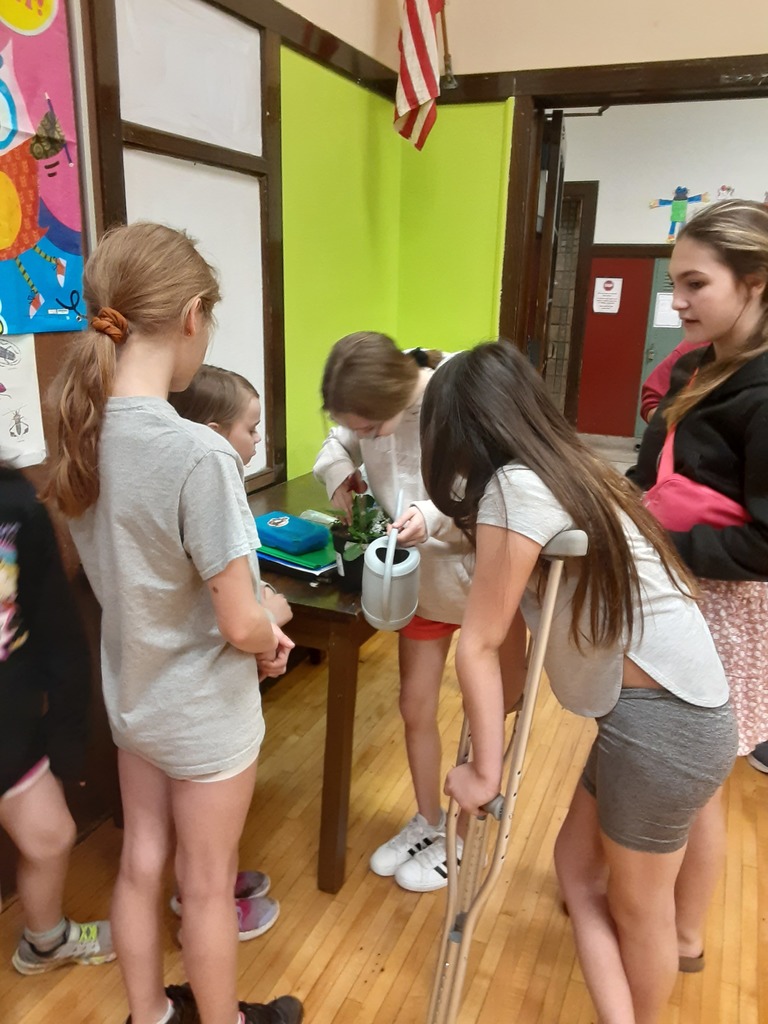 Several students look on as one waters a plant