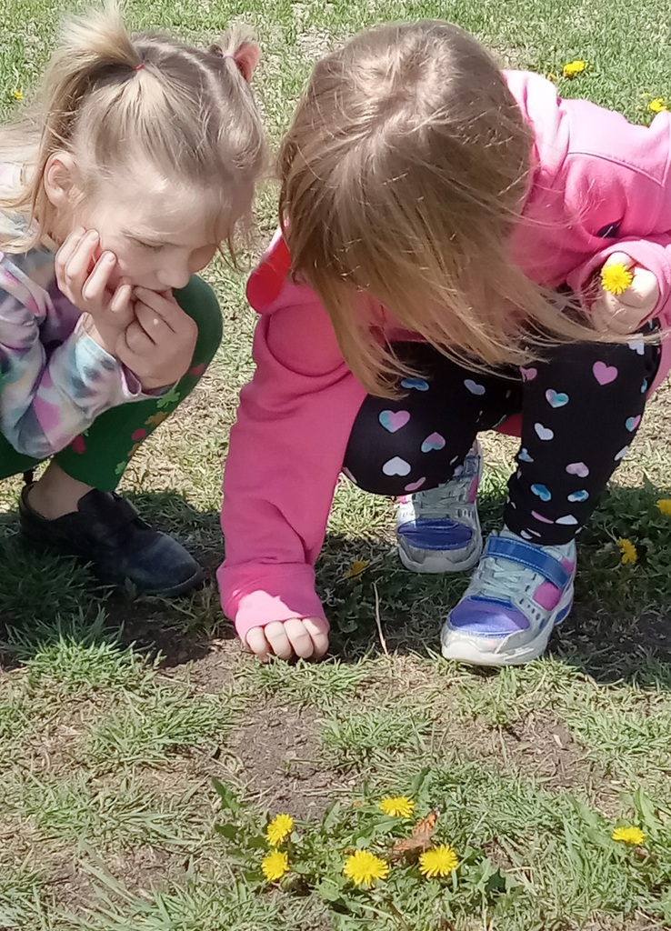 It's pollinating!