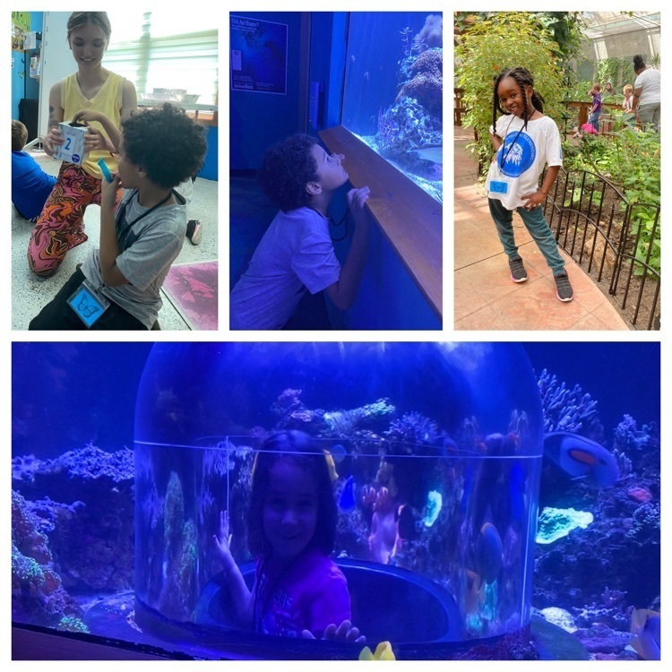 field trip