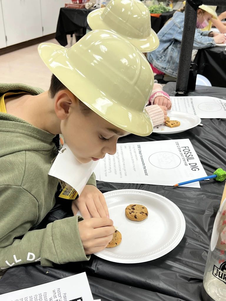 Elementary Students as a Paleontologists