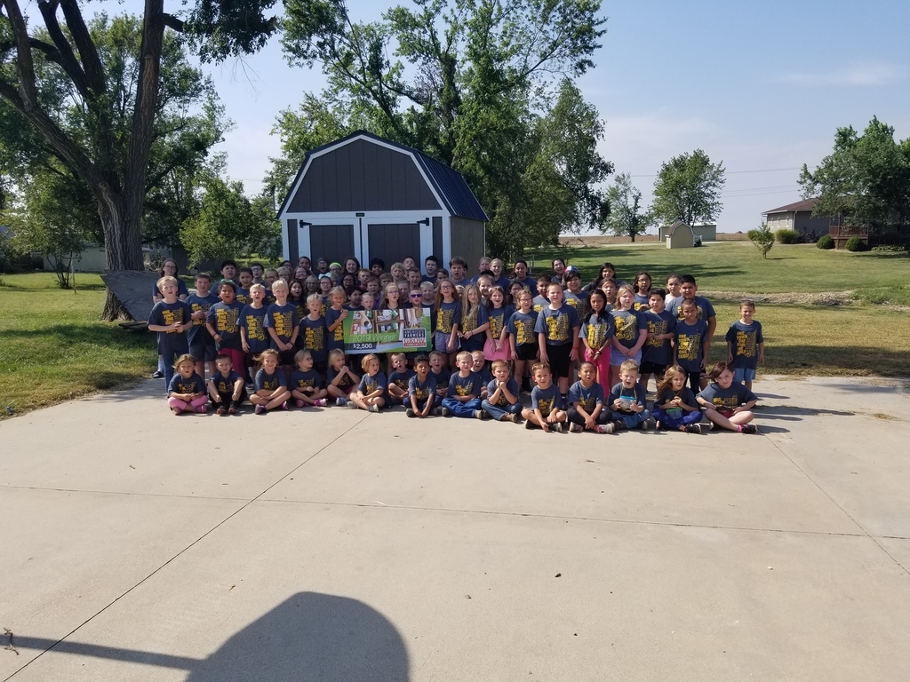 Kids and Shed