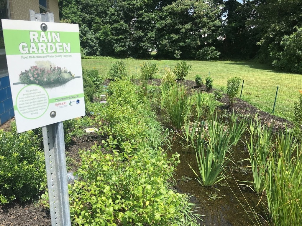 Rain Garden