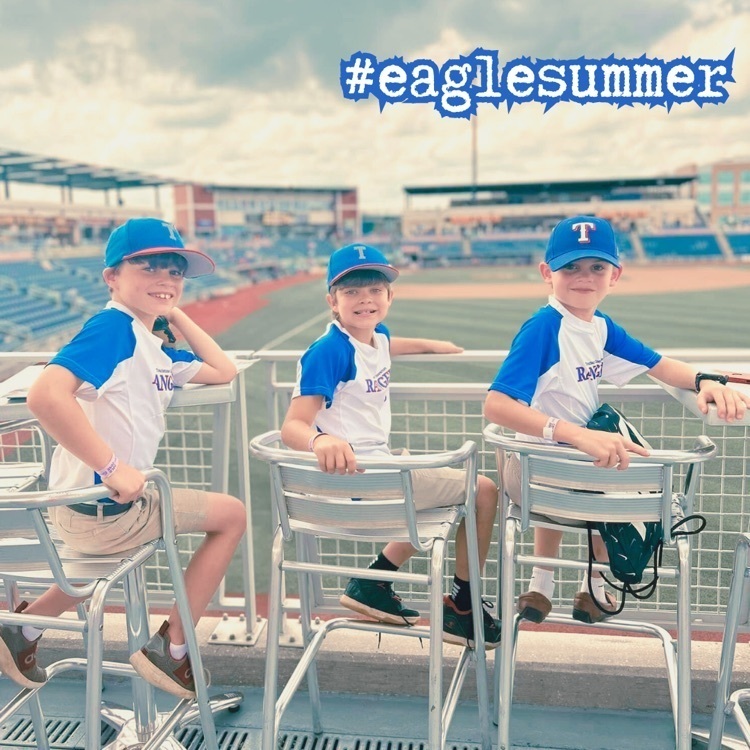 Eagle summer