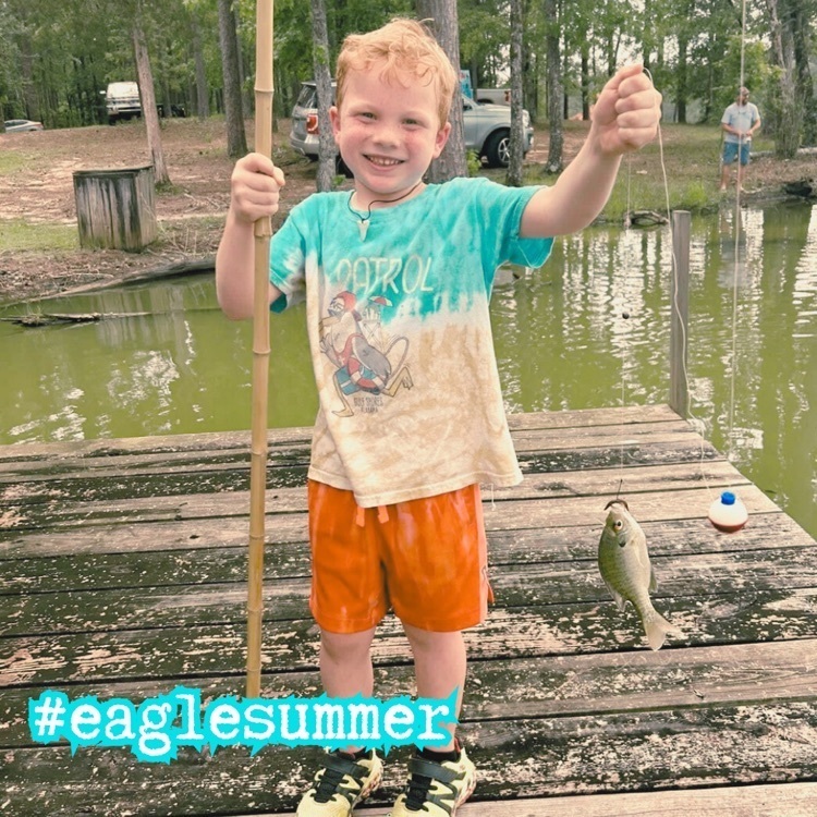 Eagle summer