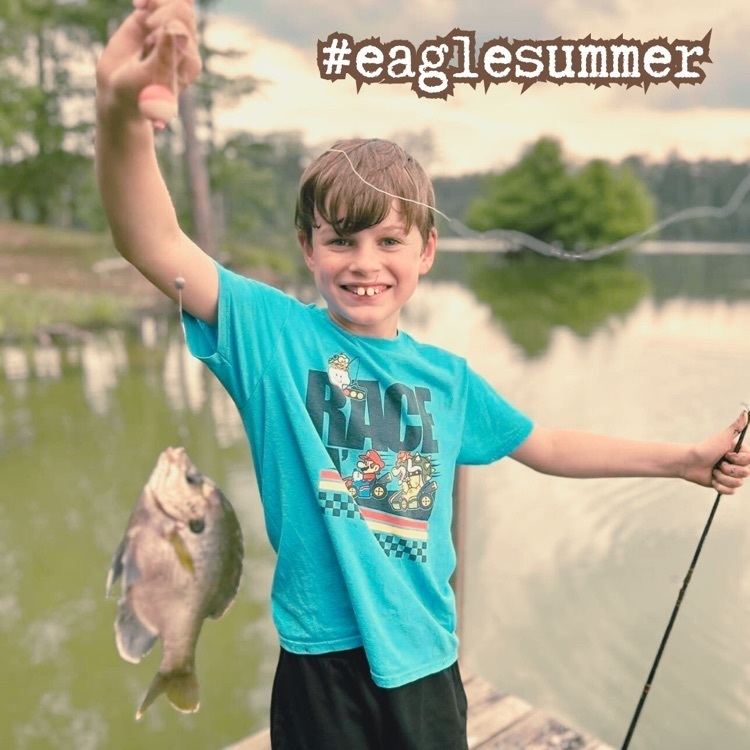 Eagle summer